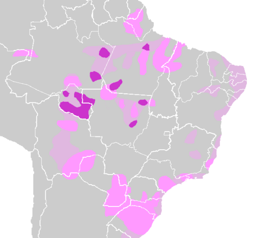 Tupi–Guarani languages